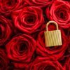 Red Roses with padlock lock your love