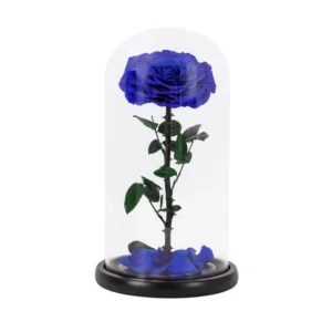 the-giftery-&-co-eternal-rose-in-a-glass-dome-blue-rose-800-01