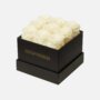 Medium Square Eternity Rose Box | Iconic Ivory