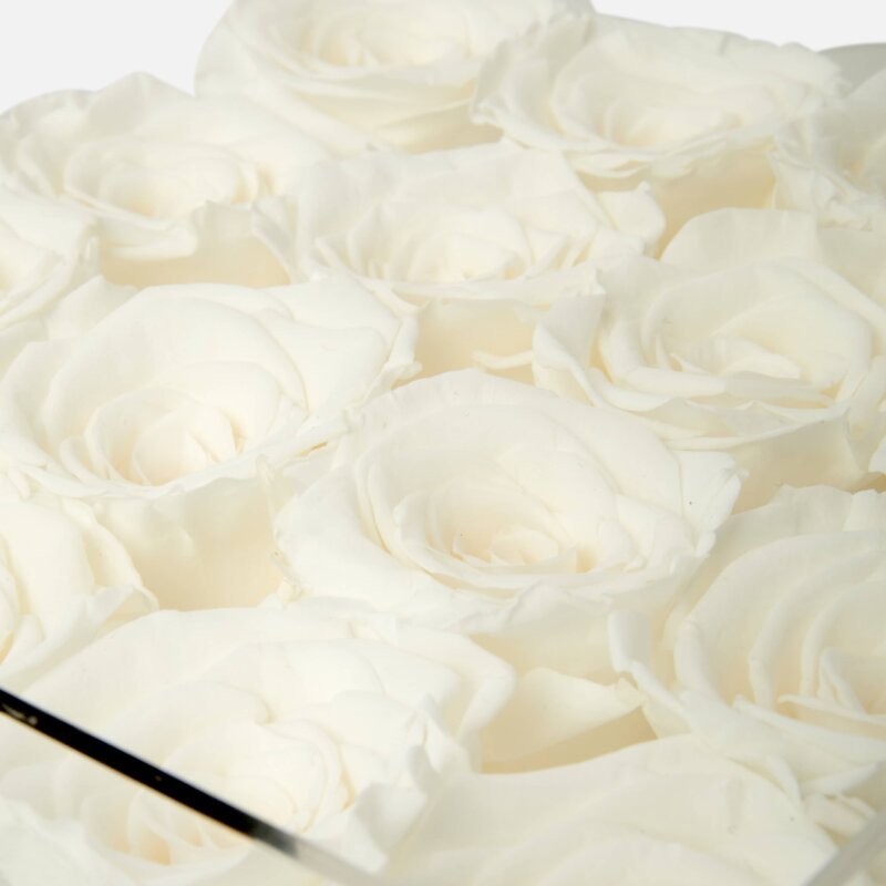 forever white roses