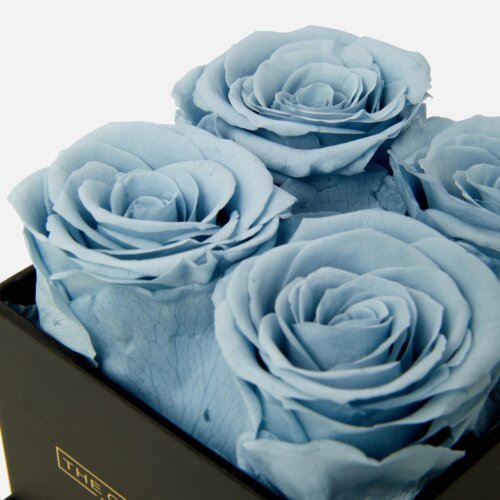 eternal roses blue