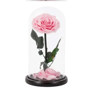 the-giftery-&-co-eternal-rose-in-a-glass-dome-pink-rose-800-01