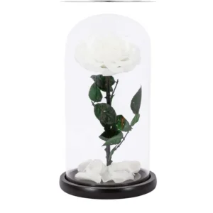 the-giftery-&-co-eternal-rose-in-a-glass-dome-white-rose-800-01