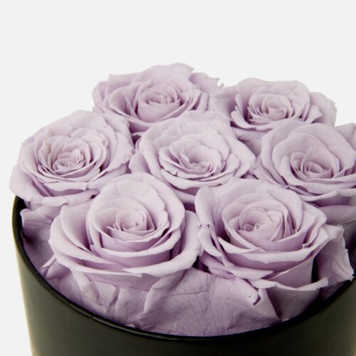 eternity roses lilac