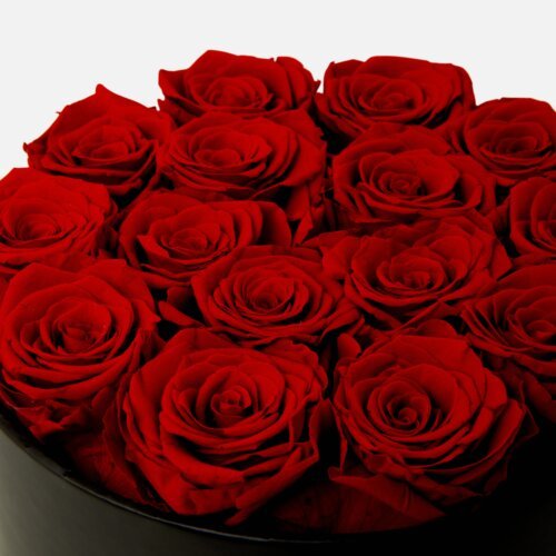 eternal red roses