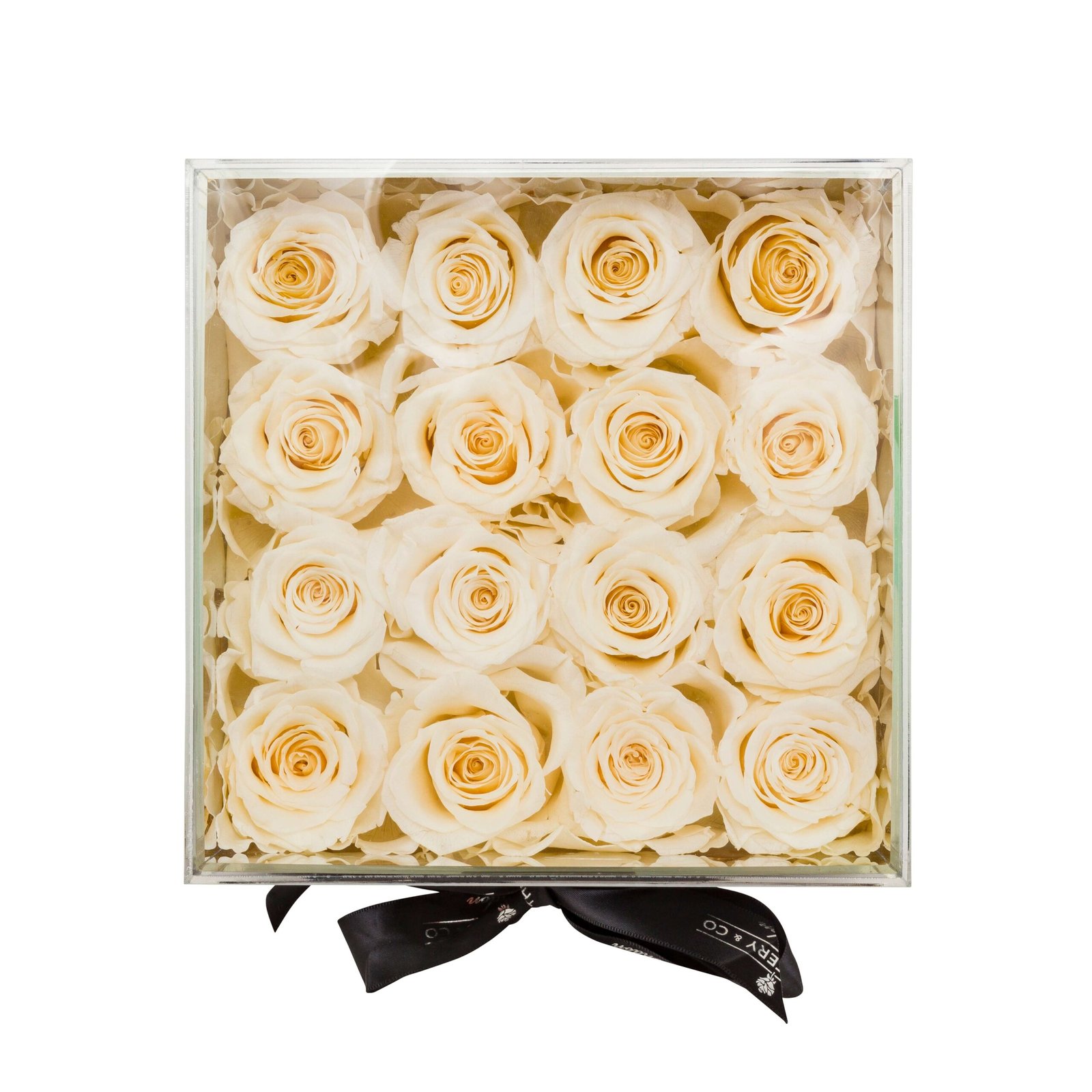 mirrored eternity rose box white top