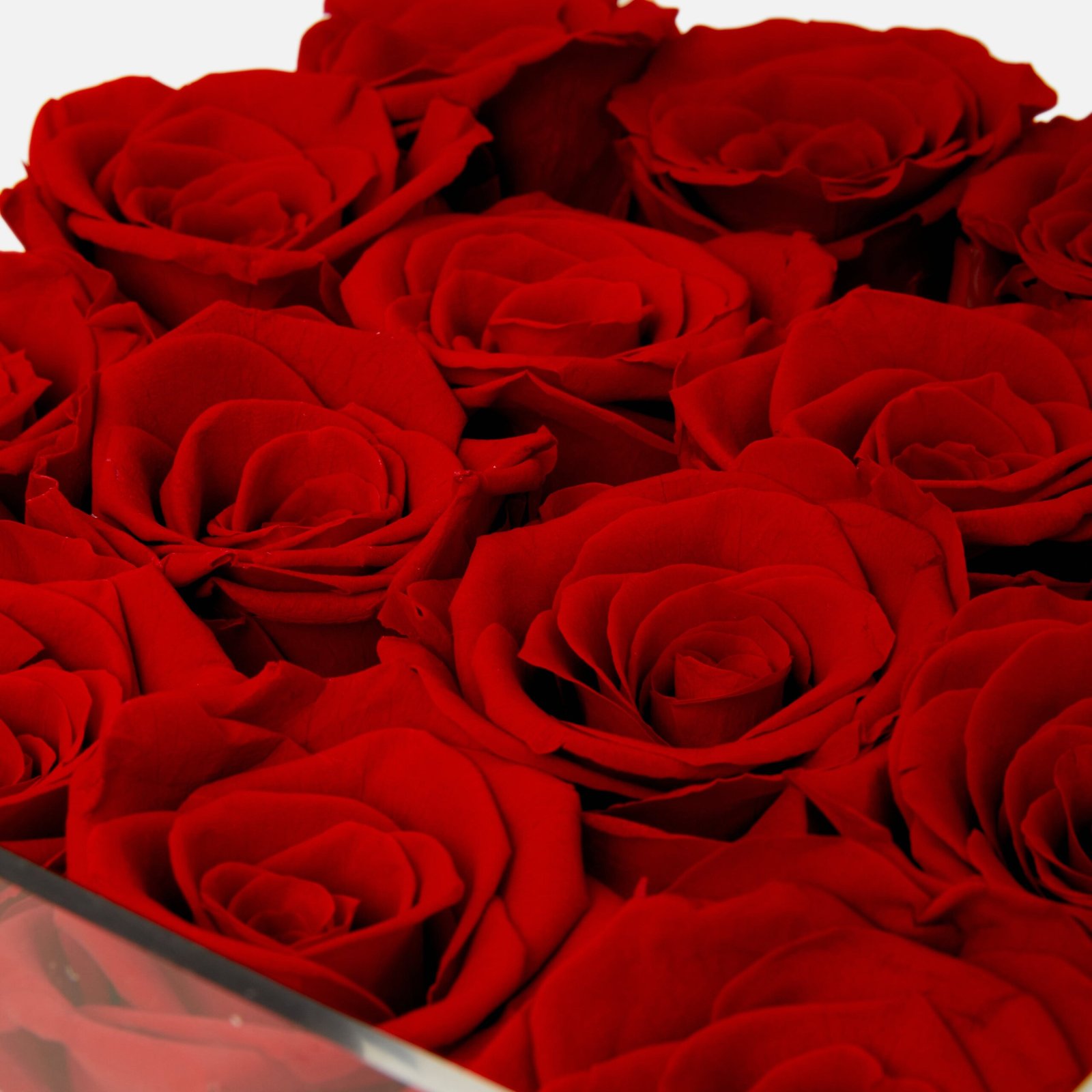 forever roses in a box