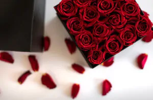 Top view red rose box forever roses