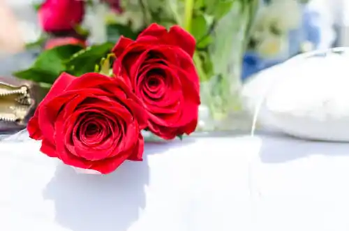 2 Eternity Roses on Table tied Together