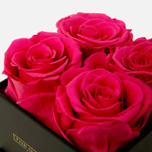 forever roses in a box