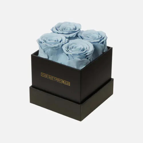 preserved roses blue